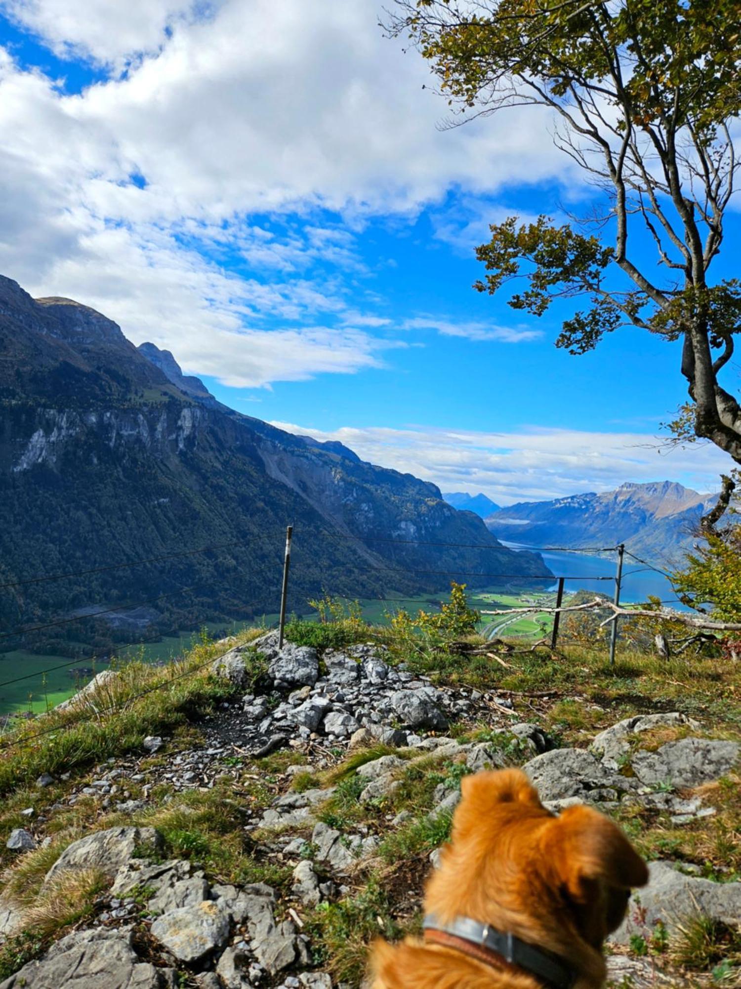 Gemuetliche Fewo Mit Sauna Inmitten Der Berge ميرنغن المظهر الخارجي الصورة