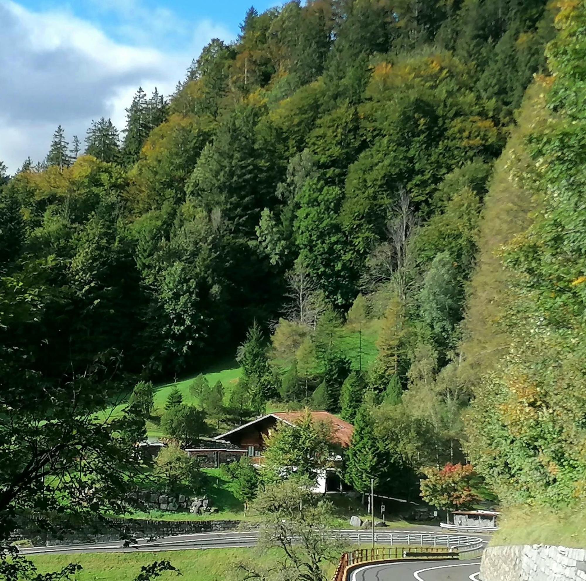 Gemuetliche Fewo Mit Sauna Inmitten Der Berge ميرنغن المظهر الخارجي الصورة